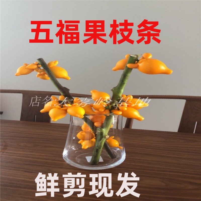 新鲜耐放大雾岭基地直达包装稳当