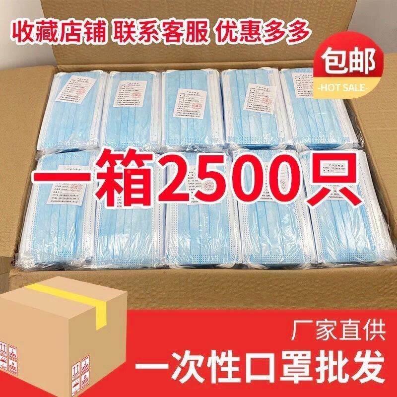 一次性口罩箱2010三层含喷熔布现货成人5口罩防飞沫防整病菌防异