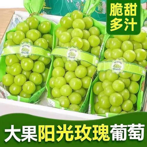 正宗阳光玫瑰葡萄新鲜
