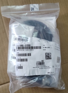 议价YASKAWA 1080-01530伺服电机