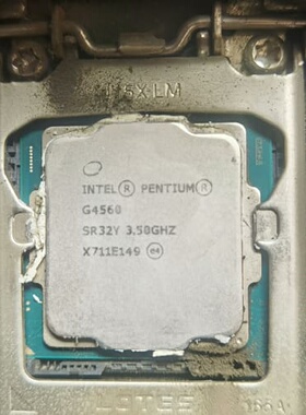 议价第7代奔腾CPU G4560
