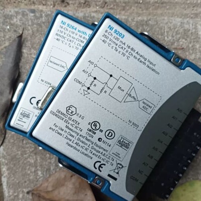 议价路边捡到2只小鸟，NI9264 NI9203 ，成色太亮，