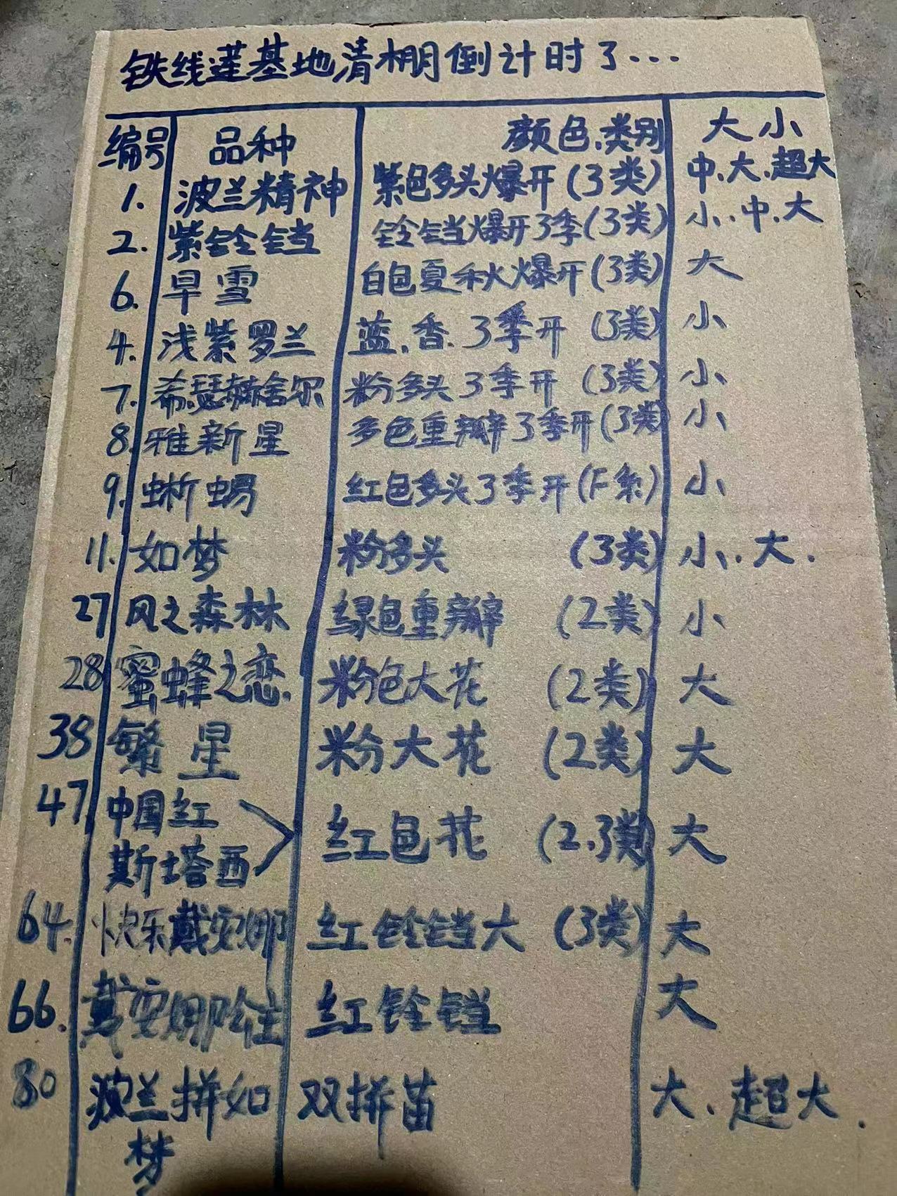 爬藤攀援庭院春秋阳台