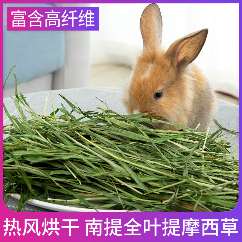 提摩西干草500g兔兔粮食特级兔子草粮牧草荷兰猪饲料龙猫干草,宠物/宠物食品及用品,兔兔干草,淘宝优惠券,粉丝福利购,淘宝优惠卷