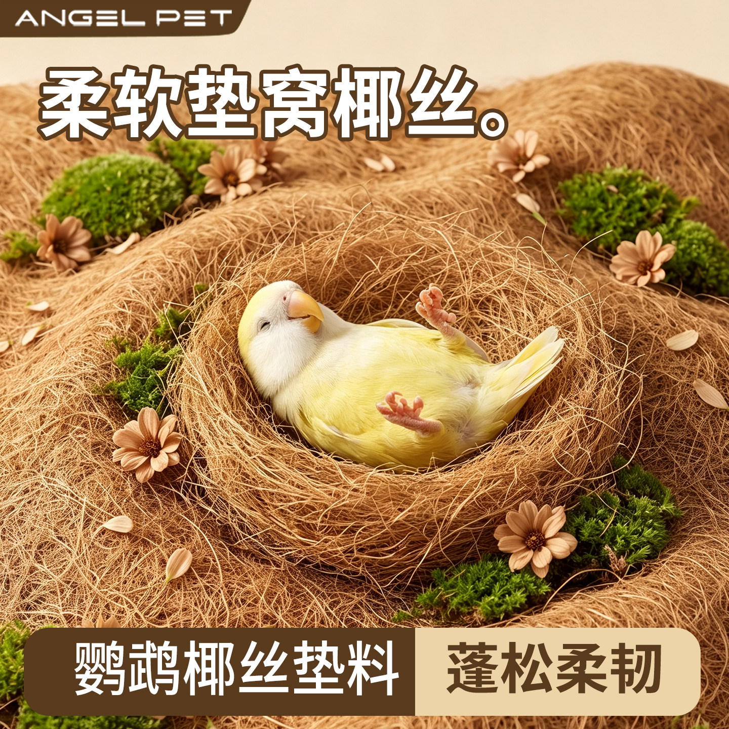 【安吉派特】鹦鹉鸟窝繁殖箱垫料图片
