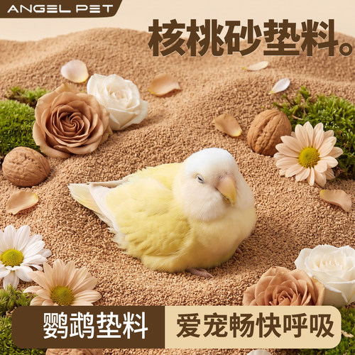 【安吉派特】核桃砂垫料鹦鹉专用