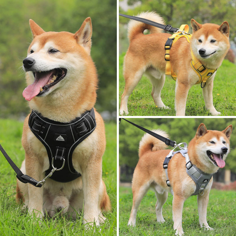 狗绳子牵引绳反光大中小型犬遛狗链绳胸背带泰迪柯基发光项圈防咬