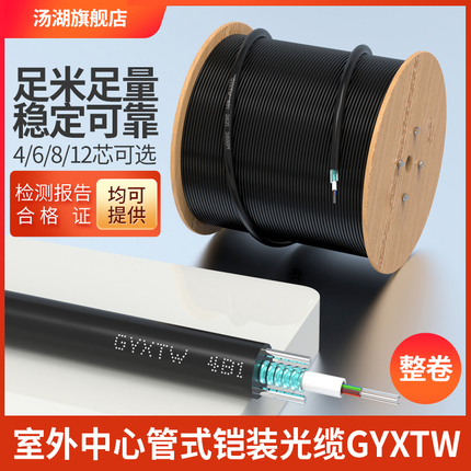 汤湖 GYXTW 4芯6芯8芯12芯室外单模光缆 中心束管铠装光缆监控用光纤线缆室外光纤线整卷