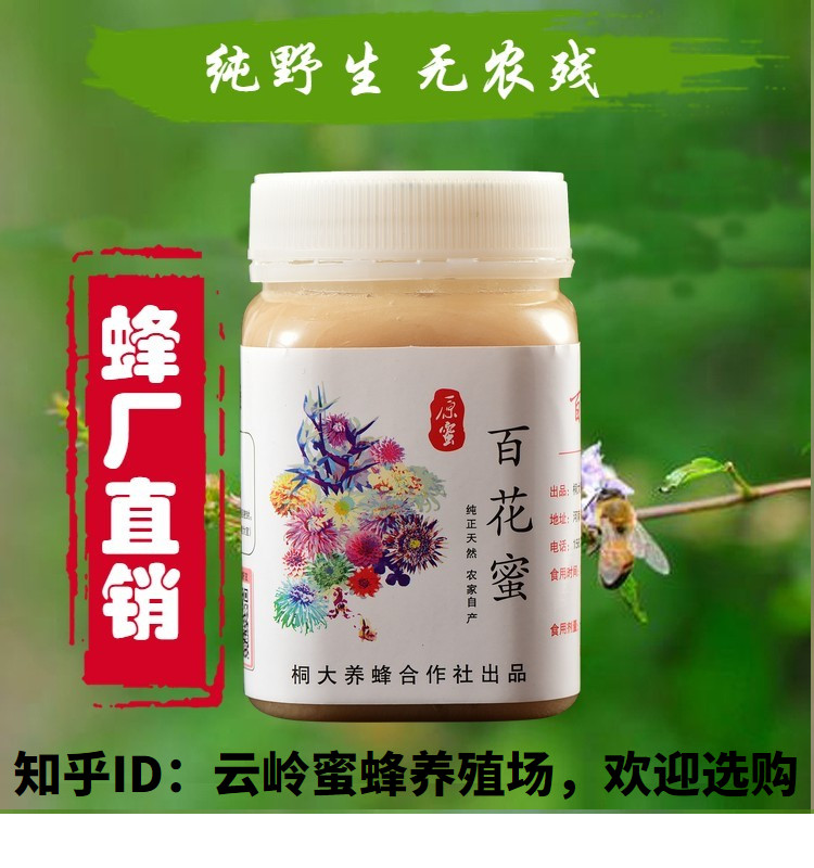 野生百花蜜500g 深山峰蜜 无农残 成熟结晶蜜 桐大蜂业