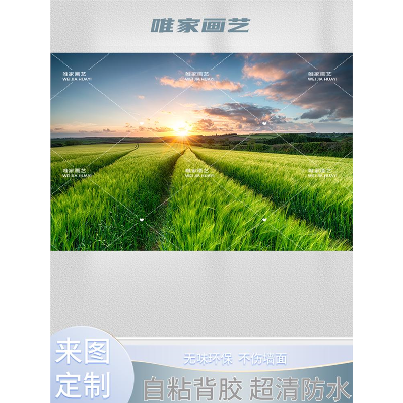 贴纸贴画粘背景墙壁画森林自墙贴树木阳光草原风景画自然海报内蒙