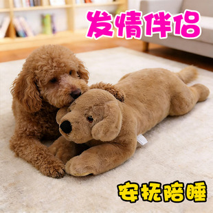 泰迪狗狗专用发情期玩具泄火公狗交配自嗨解闷母狗性伴侣小型犬