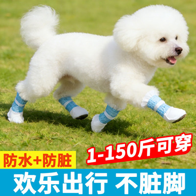 比熊一次性遛狗脚套约克夏雪纳瑞