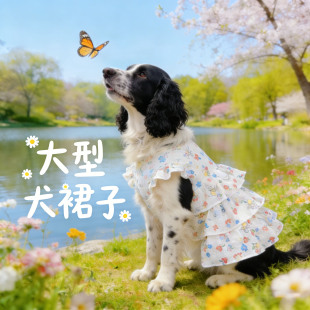 史宾格专用狗狗衣服大型犬裙子公主裙连衣裙春装薄款夏天夏季背心