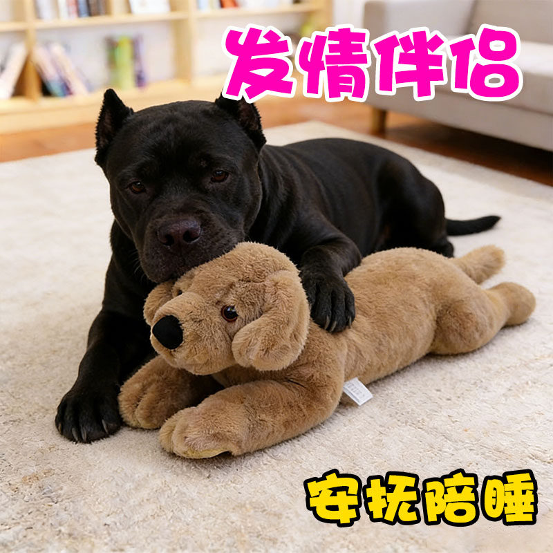 卡斯罗专用狗狗发情期玩具泄火公狗交配自嗨母狗性伴侣大型犬陪睡,宠物/宠物食品及用品,发声玩具,淘宝优惠券,粉丝福利购,淘宝优惠卷