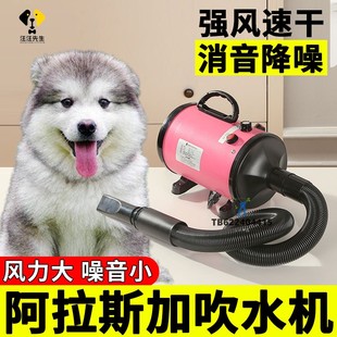 阿拉斯加专用狗狗吹水机大型犬家用吹风机宠物洗澡烘干神器烘干机