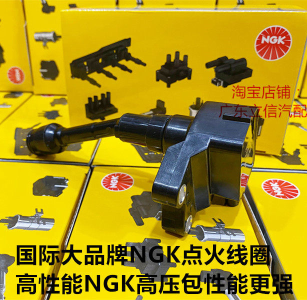 福克斯嘉年华翼搏1.0TNGK高压包