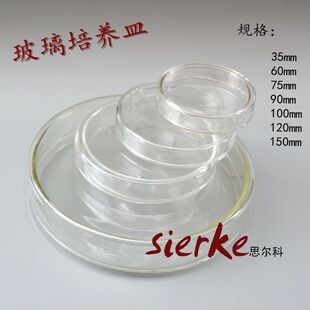 玻璃培养皿 35 60 75 90 10 120 150mm 细菌培养皿  实验器材耗材