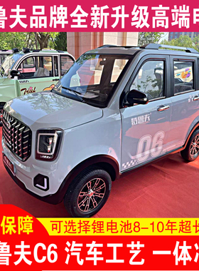 特鲁夫C6新能源锂电池电轿成人家用电动四轮车老年代步车接送学生