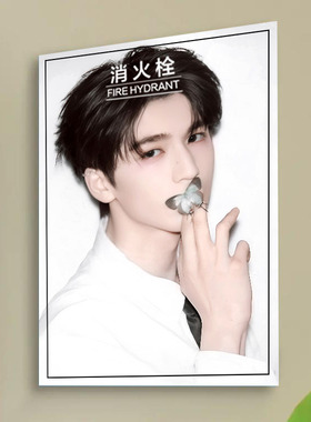 张凌赫消防栓装饰贴纸自粘海报