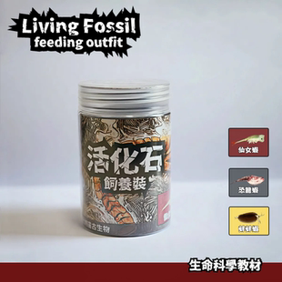 三眼恐龙虾卵 (一份内约50粒卵)仙女虾 蚌虾天野侠河虾水族馆新手