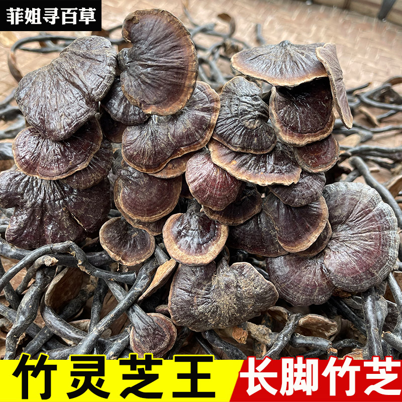 野生竹灵芝 长脚竹灵芝王 长颈竹芝王 整株灵芝 包邮竹灵芝1斤