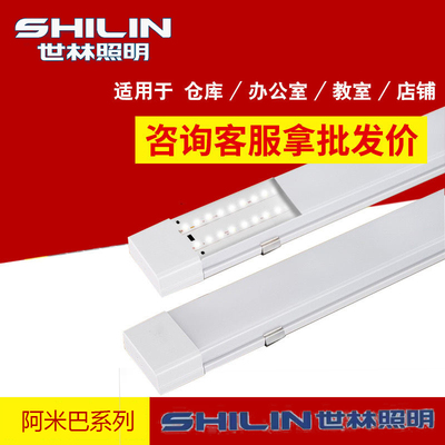 世林照明一体化超亮净化灯