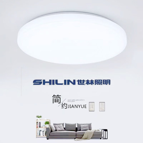 世林吸顶灯LED圆形家用超亮灯客厅卧室灯阳台灯楼道面包全白灯具