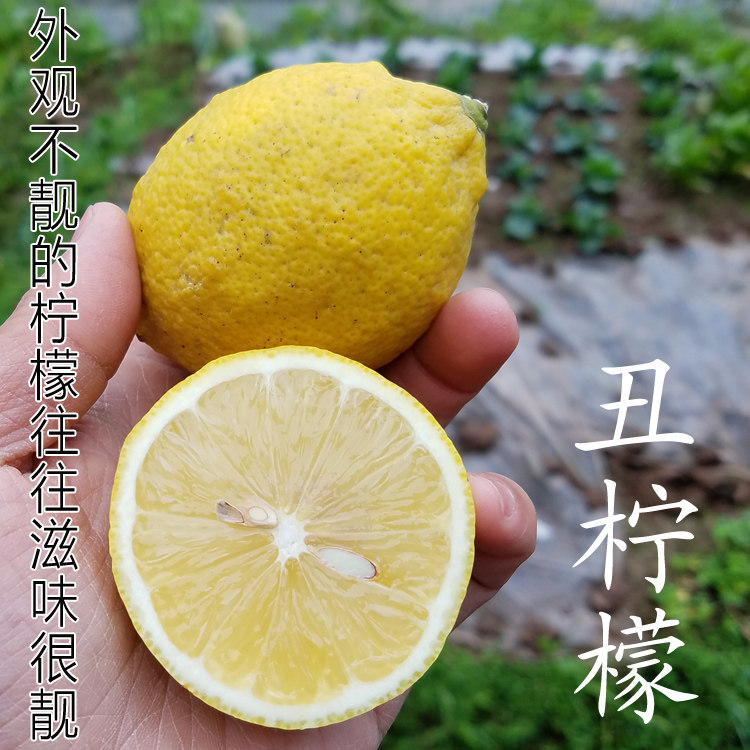 9斤新鲜安岳黄柠檬水果皮薄汁多图片