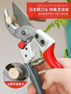 Садоводство палочки ножницы фруктовый сад филиал специальный ножницы цветок Режущие деревья цзяньхуа цветы плодовое дерево