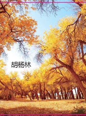 卡通新疆塔里木盆地胡杨林美景旅游纪念品磁性冰箱贴5229个性创意