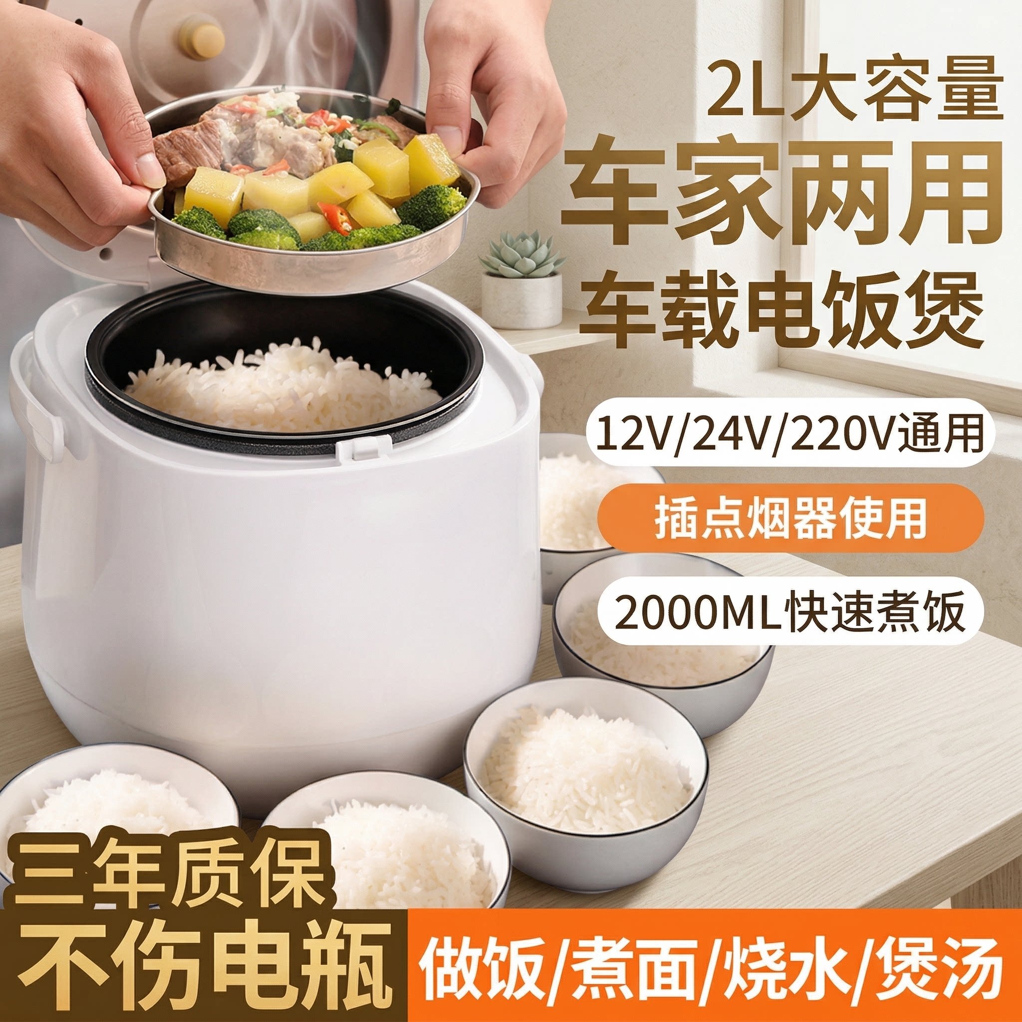 25新款车家两用电饭锅蒸煮一体12v小车24v货车220v车载家用电饭煲