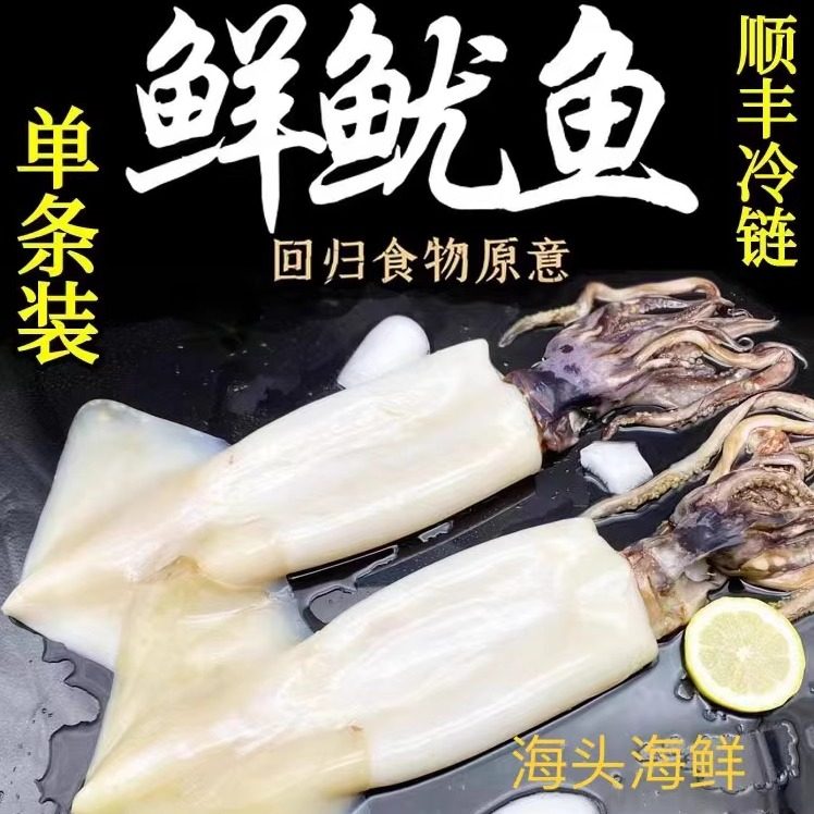 不包冰新鲜去眼去皮去内脏整只海捕鱿鱼3斤/5斤现捕现捞顺丰包邮