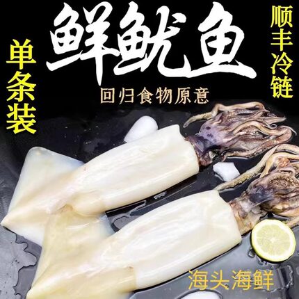 不包冰新鲜去眼去皮去内脏整只海捕鱿鱼3斤/5斤现捕现捞顺丰包邮