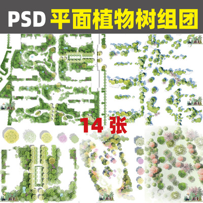 2024ps彩平图素材小清新平面植物组团彩平植物ps平面树psd分层PX7