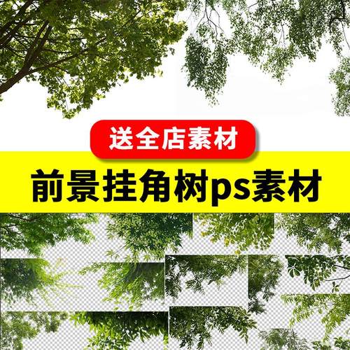 前景挂角树植物树叶PSD分层园林景观建筑PS后期图免抠png素材