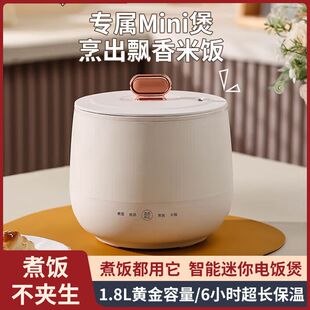 110v伏台湾多功能电煮锅迷你电饭煲煮粥电炖锅养生煲小饭锅美国