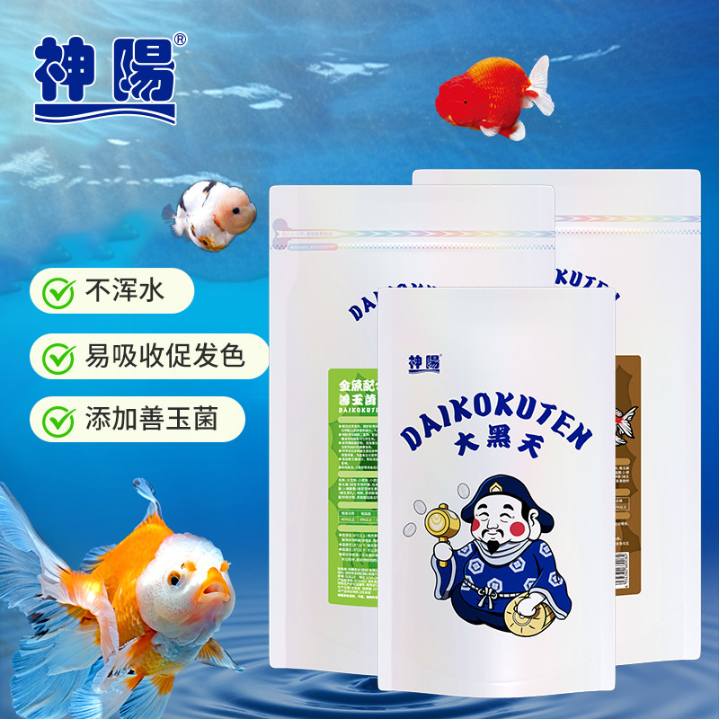 神阳下沉增色增体金鱼兰寿泰狮粮图片