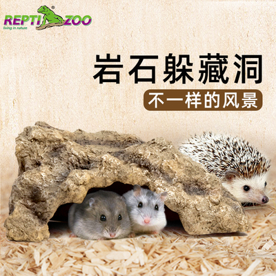 新派宠物小宠乌龟躲避
