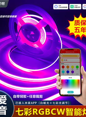 rgbcw 已接入米家APP洞洞板灯带智能七彩无极幻彩氛围led线型灯