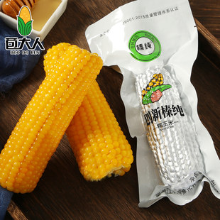 创新榛纯玉米甜糯东北粘玉米黑龙江小粒黄玉米黏糯玉米棒速冻新鲜