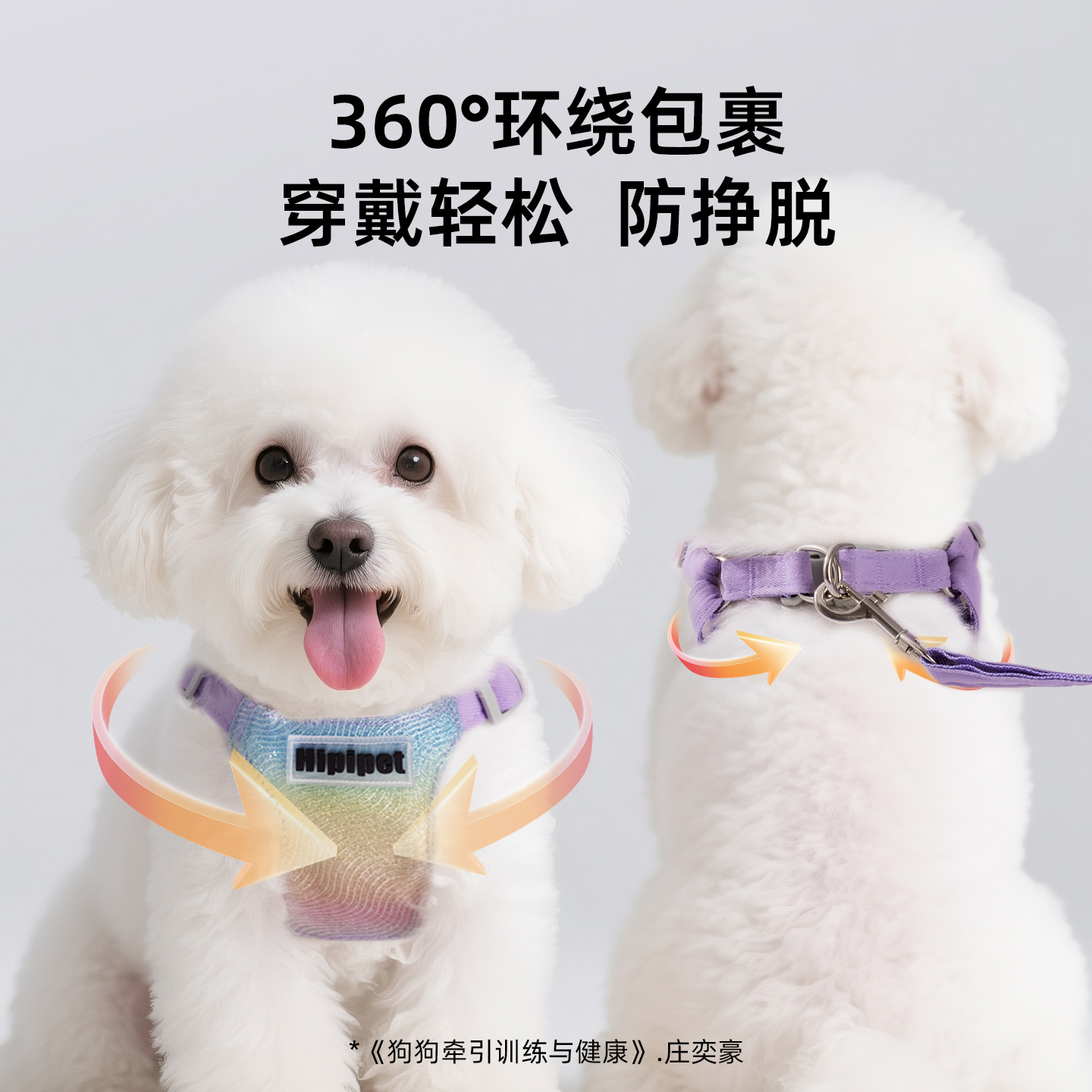 狗狗牵引绳时尚炫彩渐变宠物胸背带猫狗外出防挣脱背心式遛狗绳