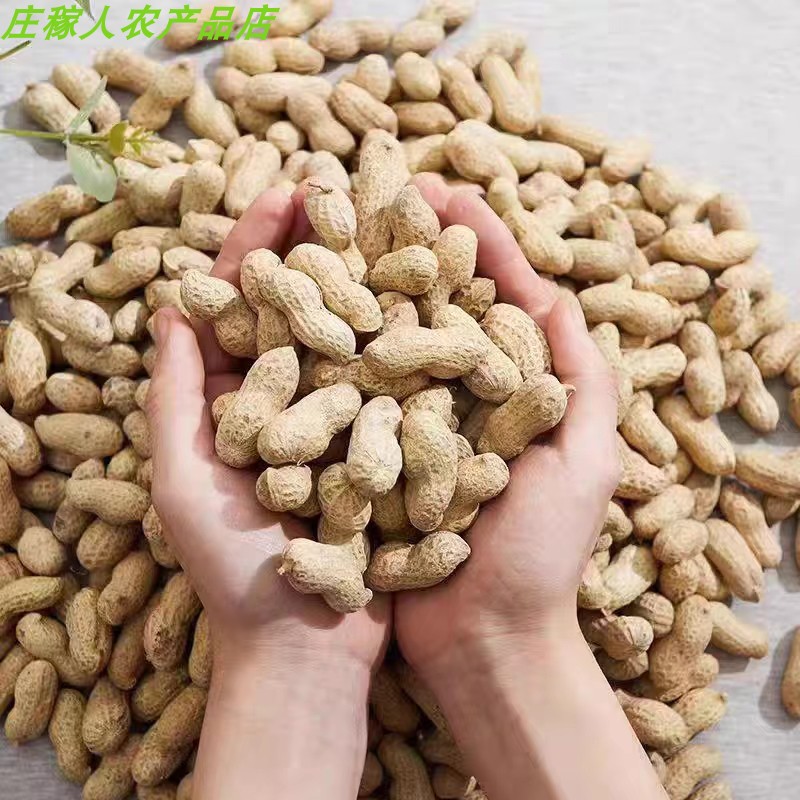 2025新带壳花生种新鲜晒干原味炒花生颗粒饱满优质挑拣花生米包邮