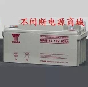 UPS电池 汤浅蓄电池 免维护电瓶 汤浅 12V85AH NP85-12 UPS电瓶