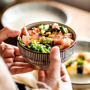 漂亮碗陶瓷吃饭米饭碗高级感餐具日式 饭碗家用2025新款 汤碗釉下彩