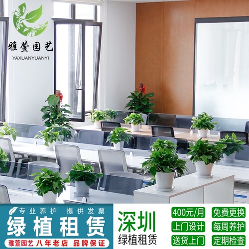 深圳办公室植物租赁 绿植绿化养 植物花卉租摆 绿墙工程 庭院设计