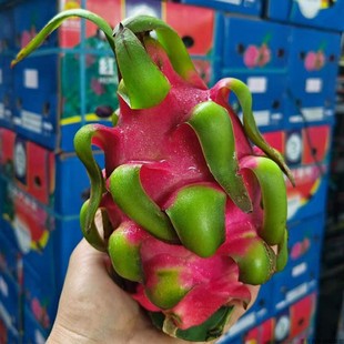 越南红心火龙果10斤整箱现货包邮当季重庆双福珍鲜达新鲜进口水果