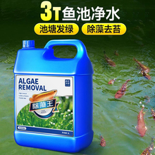除绿水鱼池鱼缸除藻剂去苔剂神器去绿藻青苔清除剂水藻褐藻浮萍净