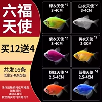 [Шесть ангелов изготовления] 2-4 см. Пакет A 12 отправляет 4 часа потери (всего 16) (всего) (всего) (всего) (всего) (всего) (всего) (всего) (всего) (всего)