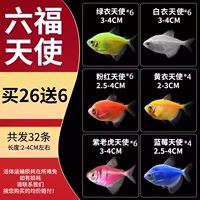 [Шесть Ангелов Фортуны] 2-4 см Пакет E 26 отправляет 6 частей потери (всего 32)