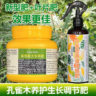 孔雀木专用肥料花盆栽养殖绿植小苗孔雀木树专用土营养液叶面肥料